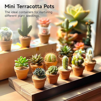 50 Pcs Mini Terracotta Pots, 1.2" Succulent Nursery Pots with Drainage Holes, Miniature Cactus Flower Planters, Tiny Clay Terra Cotta Pots for Indoor Outdoor Plants, DIY Crafts (50PCS)