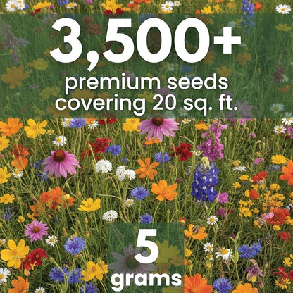 Texas Oklahoma Regional Mix – 3,500 Seeds for Planting – 2026 Season – 5-Gram Pouch