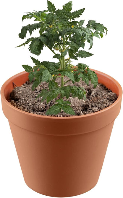 Premium Manure: Ideal Manure Starter and Vegetable Fertilizer for a Thriving Outdoor Vegetable Garden - Boosts Soil Quality! Hand Packed in The USA. 2 Quarts