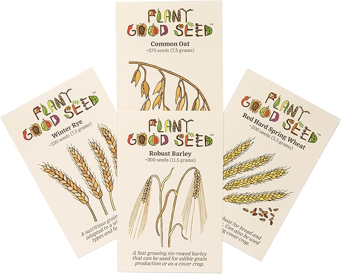 Plant Good Seed Organic Great Grains Seeds for Planting: 4 Packet Collection - Barley, Oat, Rye, Wheat - Heirloom Variety Pack