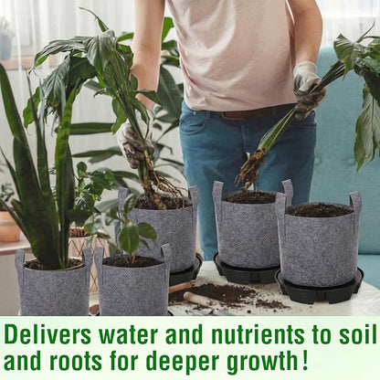 6 Set Self Watering Fabric Pot Base Plant Nonwoven Grow Bags Automatic Watering Plant Saucers Elevated Flower Trays for Fruits Vegetables Flowers(3 Gallon,Grey)