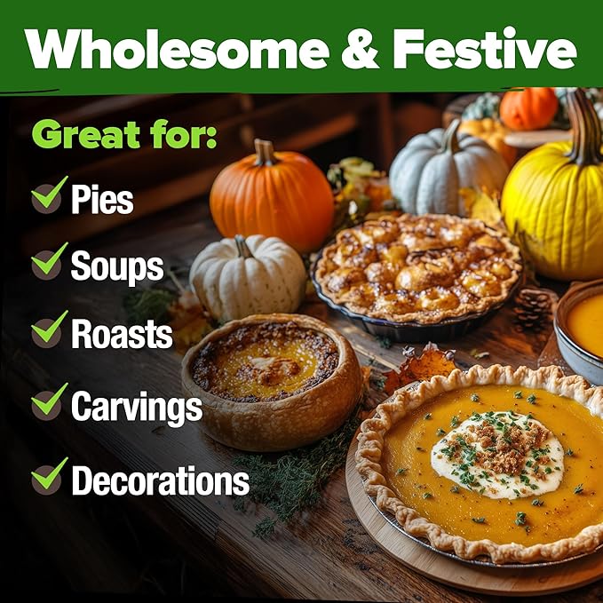 HOME GROWN Pumpkin Seeds for Planting - 5 Variety Mix - 40 Seeds - Heirloom Non GMO USA - Vegetable Garden - Edible & Jack O Lanterns - Connecticut Field Blue White Mini - Autumn Harvest