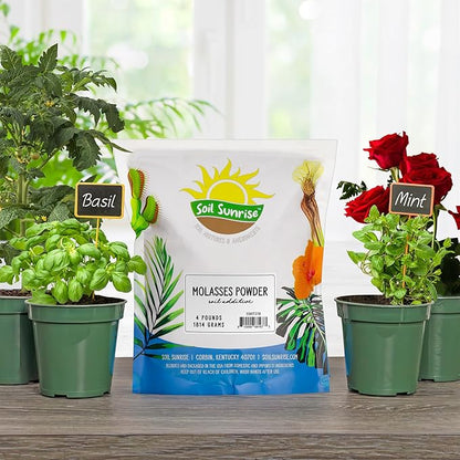 Soil Sunrise Dry Horticultural Molasses Powder (4 Pounds) Indoor/Outdoor Gardening Soil Amendment for Plants