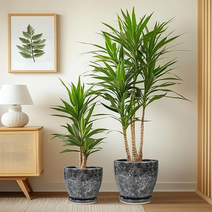 Ceramic Pots for Plants - 10+8+6 Inch Modern Flower Pot for Indoor Outdoor, Round Planters with Drainage Holes and Trays, Office Garden Living Room Decor, Housewarming Gifts, Set of 3, Grey