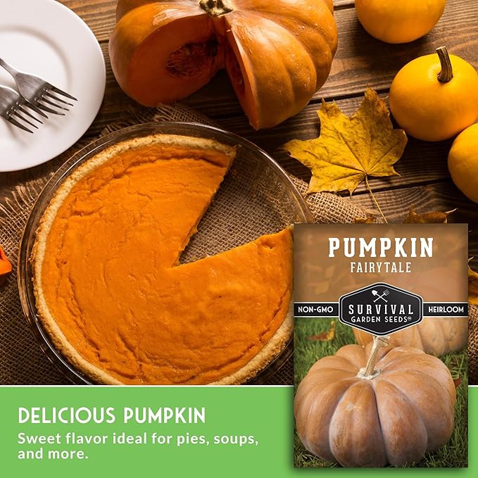 Fairytale Pumpkin Seeds for Planting | Musquée de Provence Heirloom Cucurbita Moschata - Sweet Flavor Pumpkins for Storage, Pies, Soups, Fall Décor - Survival Garden Seeds (3 Packs)