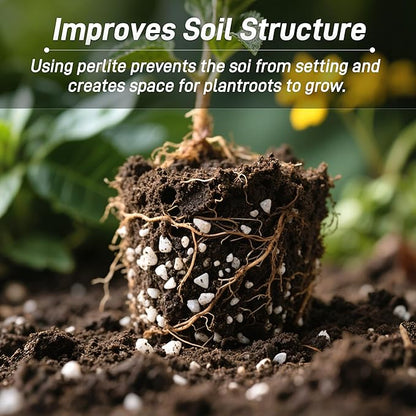 3 Quarts Chunky Perlite for Plant Soil Amendment for Potting Soil, Improves Drainage and Aeration for Soil, Ideal for Succulents, Orchid, Flower Plants (1/4 inch)