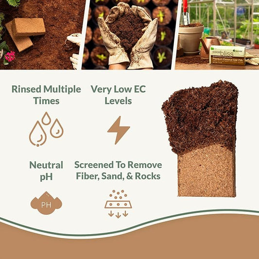 Coco Bliss 650gm Bricks (5-Pack) + Vermiculite Bliss (24 Qts) - Organic Coco Coir & Fine Vermiculite for Plants - Compressed Coco Coir Bricks - OMRI-Listed Coco Coir for Plants, Herbs, & Gardens