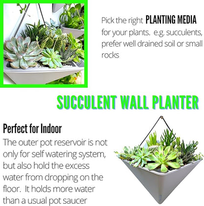 LaLaGreen Wall Planters - 4 Pack, 12 Inch Large Self Watering White and Gray Mixed Color Geometric Indoor Vertical Garden Plant Wall Hanging Flower Vase Vessel with Black Metal Hanger Modern Stylish