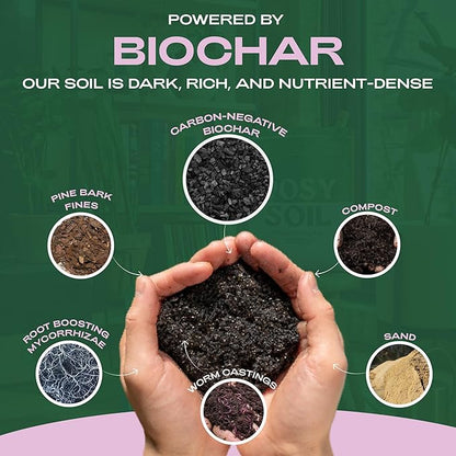 Seedling Seed Starter Soil Mix (4 qts) + Indoor Potting Soil (4 qts) - Peat Free - Potting Seed Starting Mix - Potting Soil Mix for Indoor Plants