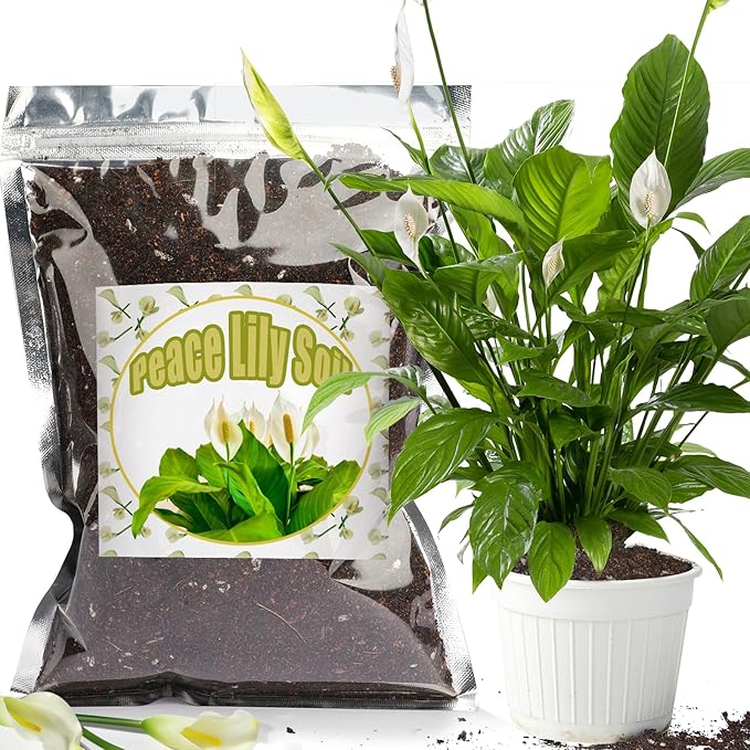 Organic Peace Lily Soil Mix 4qt, Indoor Plants Potting Mix for Planting, Growing, or Repotting Peace Lily Plants, Grow Healthy houseplants Indoors