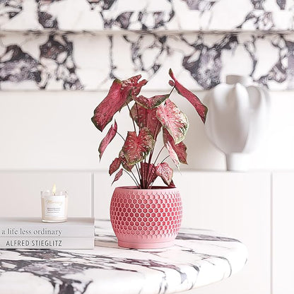 Plant Pots, Modern 3D Printed Honeycomb Planters for Indoor Plants, 4.7 Inch Cherry Pink Decorative Flower Pot for Office Desktop, Bookshelf & Home Decor, Lightweight & Durable.
