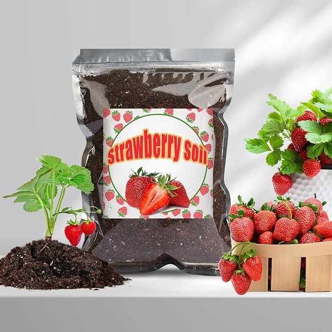 Organic Strawberry Soil Mix 4qt, Indoor Plants Potting Mix for All Potted Strawberry, Grow Healthy houseplants Indoors