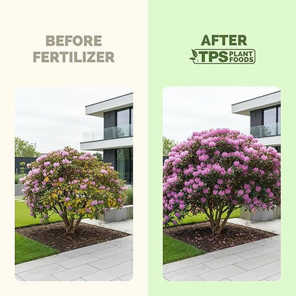 Rhododendron Fertilizer – Liquid Rhododendron Plant Food for Healthy Growth & Vibrant Blooms, 32 oz