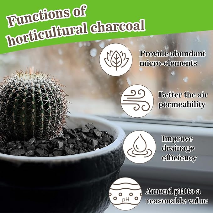 Sukh Horticultural Charcoal for Plants - 2.5Qt. Natural Earth Regulated Supplement for Potting Soil Indoor Plants, Organic Biochar, Succulent Soil, Paphiopedilum, Bonsai, Terrarium