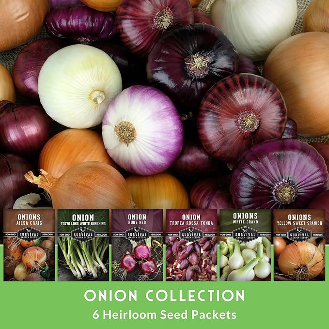 Onion Seeds for Planting – 6 Variety Pack Collection | Ruby Red, Tropea Rossa, Tokyo Long White, Sweet Spanish, White Grano, Ailsa Craig – Heirloom Non-GMO Onions – Survival Garden Seeds