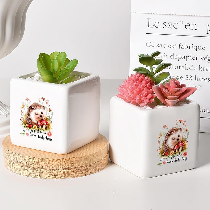 Hedgehog Succulent Planter Flower Plant Pot Small, Gifts for Women Teens Girls Kids, Hedgehog Lovers Themed Stuff Accessories Things Decor Merch, Home Office Table Desk Decoration!