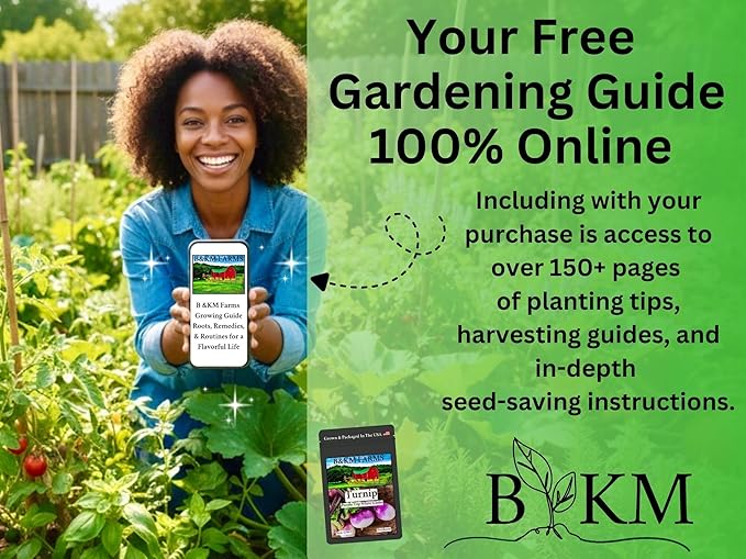 40 Vegetable & Fruit Seeds for Planting Your Outdoor & Indoor Home Garden. 25,000 Seeds, 40 Plant Markers, Growing Guide, & Survival Package. Heirloom Non-GMO Veggies by B&KM Farms (1, Large)