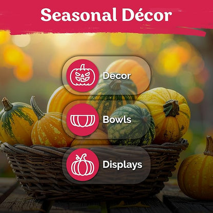 KVITER 50 Small Gourd Seeds Mix (Cucurbita Pepo) – Ornamental Fall Decor Gourds, Non GMO & Organic – Perfect Heirloom Seeds for Planting Decorative Gourds in Vegetable Garden