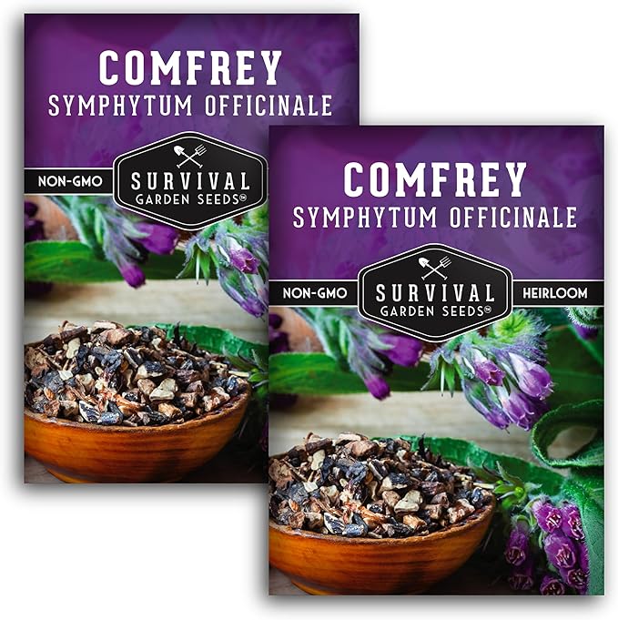 Comfrey Seeds for Planting - Symphytum Officinale Medicinal Perennial Herb for Compost Tea & Natural Skincare - True Slippery Root Non-GMO Heirloom - Survival Garden Seeds (2 Pack)