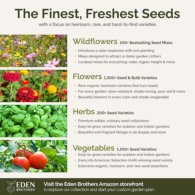 Eden Brothers Cupid's Flower Seed Mixed Seeds for Planting, 1 oz, 4,800,000+ Seeds with Malop Vulcan, Zinnia | Attracts Pollinators, Plant in Spring, Zones 2, 3, 4, 5, 6, 7, 8, 9, 10
