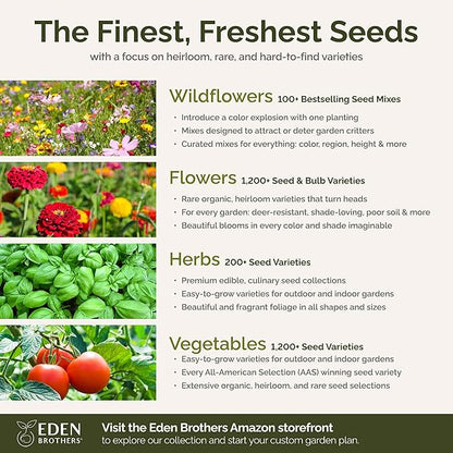 Eden Brothers Southwest Wildflower Mixed Seeds for Planting, 1/4 lb, 120,000+ Seeds with Cornflower, Blanket Flower | Attracts Pollinators, Plant in Spring or Fall, Zones 3, 4, 5, 6, 7, 8, 9, 10