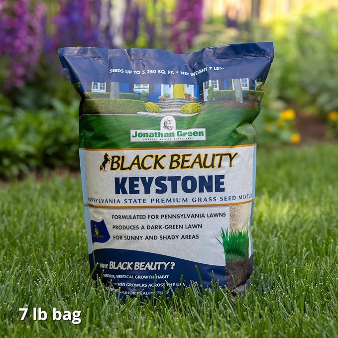 Jonathan Green (10361) Black Beauty Keystone PA Grass Seed (Made for Pennsylvania) - Cool Season Lawn Seed (7 lb)