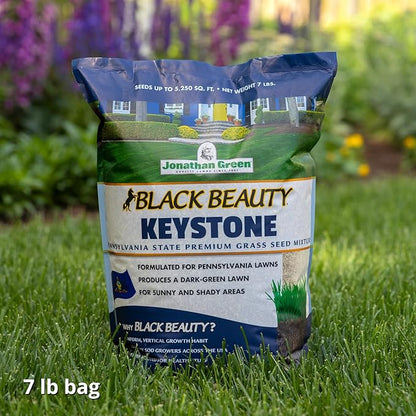 Jonathan Green (10361) Black Beauty Keystone PA Grass Seed (Made for Pennsylvania) - Cool Season Lawn Seed (7 lb)