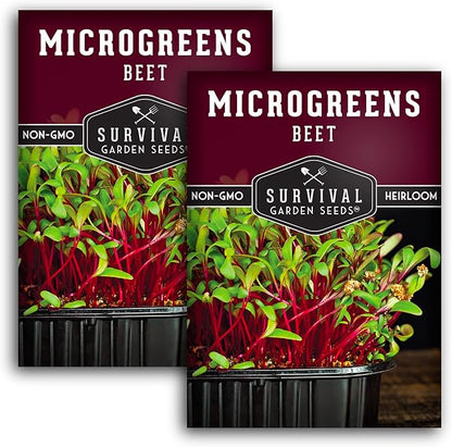 Beet Microgreen Seeds for Sprouting - Non-GMO Heirloom Beet Seeds to Grow Red Microgreens - Indoors or Hydroponic - Fast Growth, Sweet Flavor - Survival Garden Seeds (2 Packs)