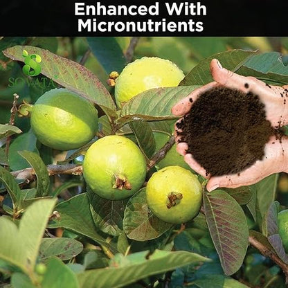 Sovata® Guava Growth Food, Powerful Organic Fertilizer for Fast Growth and Heavy Fruiting of Guava Plants. (900 gm)