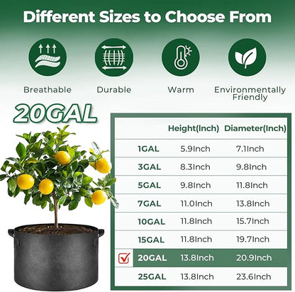 T4U 20 Gallon Grow Bags, Upgrade Fabric Grow Bags with Handles, Thickened Garden Plant Pots for Planting Vegetables, Tomato Planter, Smart Pots for Plants (10 Pack 10 Gal)