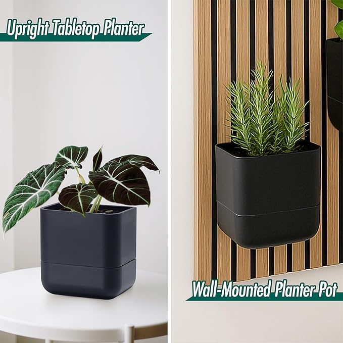 Phoenix Vine 6.5-Inch Wall Mounted Self-Watering Planter Pot for Indoor Houseplants and Herbs | Modern Hanging Planter for Window Sills, Bathroom Walls, Home & Office Décor, Black, Set of 2, 01-WP-B-2