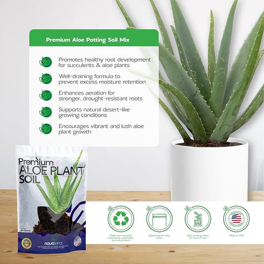 Potting Soil for Aloe Vera Plants Indoor Aloe Vera Plant Cactus Soil Potting Mix Aloe Vera Potting Mix Indoor Potted Aloe Plants Live Succulents Cactus Live Plants 2.4 Qts
