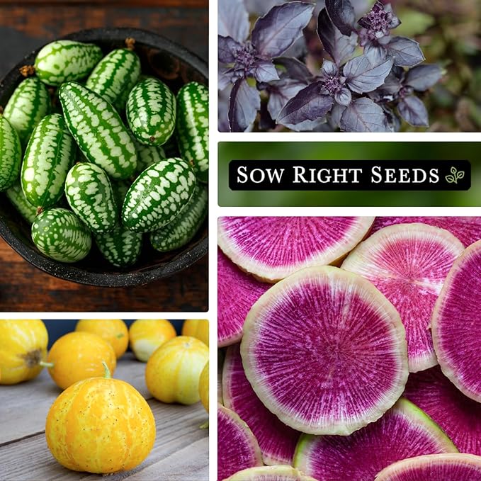 Sow Right Seeds - Rare Exotic Vegetable Seed Collection for Planting - Non-GMO Heirloom Beets, Broccoli, Cucamelon, Cucumber, Pepper, Basil, Radish, Watermelon, Tomato, and Swiss Chard to Plant