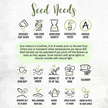 Seed Needs Genovese Basil/Lemon Basil Seeds for Planting Fresh Kitchen Herbs - Non-GMO Heirloom & Untreated Annual Herb Seed to Plant a Culinary Garden Indoors or Outdoors