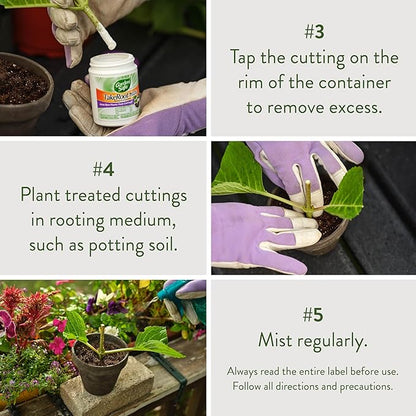 Garden Safe Brand TakeRoot Rooting Hormone, 2 Count, Powder Helps Grow New Plants from Cuttings Including Most Home, Garden and Greenhouse Varieties, 2 Pack