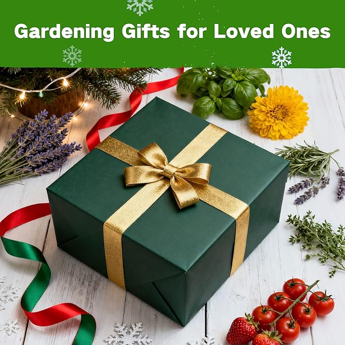 USDA Zone 8 Heirloom Seed Bank, 30,000+ Non-GMO 32 Varieties of Seeds for Planting Vegetables Herbs, Survival Seed Kit for Raised Garden Bed Greenhouse, Gardening Gifts for Mom Women Men