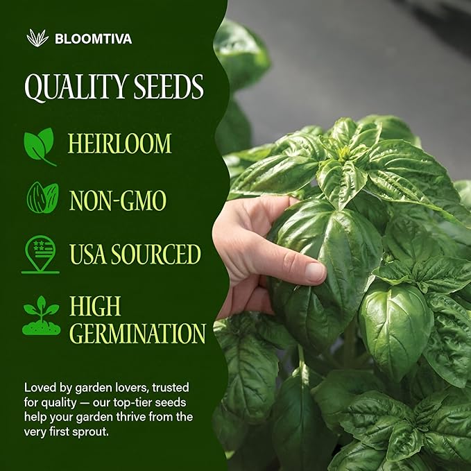 2000 Basil Seeds for Planting - Italian Large Leaf, Non-GMO and Heirloom Herbs Seeds for Planting, USA Grown Tulsi Basil, Great for Indoor or Outdoor Growing (Ocimum basilicum)