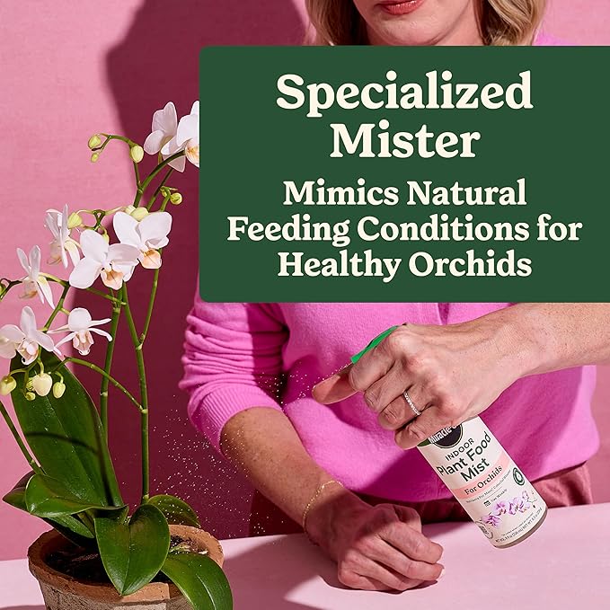 Miracle-Gro Indoor Plant Food Mist for Orchids, Orchid Plant Food, 8 fl. oz., 2-Pack