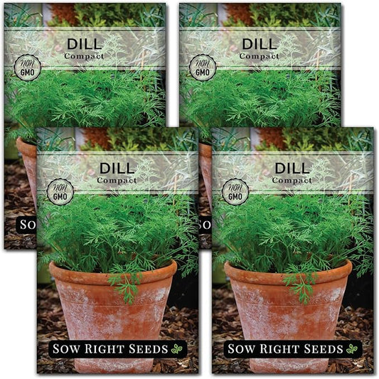 Sow Right Seeds - Compact Dill Seeds for Planting - Non-GMO Heirloom Packet with Instructions to Grow an Outdoor or Indoor Herb Garden - Great for Pickling - The Perfect Patio & Container Size (4)