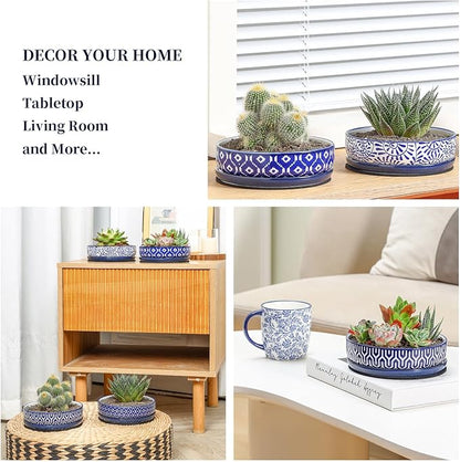 Selamica Ceramic Succulent Pots, Shallow Succulent Planters with Drainage Hole & Saucer, Indoor Plant Pots for Cactus, Home Decor，Vintage Blue,6 inch
