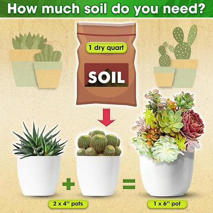 DUSPRO Succulents Soil Potting Mix – 7 in 1 Ingredients Well-Draining, Nutrient-Rich Cactus Potting Soil for Succulents and Cacti, Indoor & Outdoor Use, Ready to Use, Supports Healthy Root Growth, 4QT