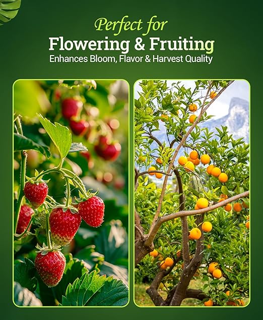 FoxFarm Bush Doctor Bembé Sweet & Dandy Liquid Plant Fertilizer - Boosts Plant Sweetness & Soil Microbes, Complex Nutrient Blend - 0-1-3 PK Fertilizer for In-Ground & Hydroponic Gardens - 1 Quart