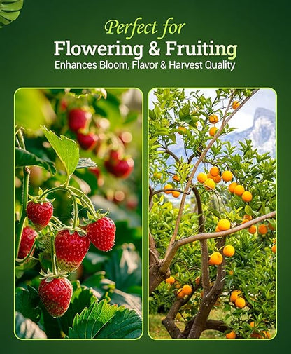 FoxFarm Bush Doctor Bembé Sweet & Dandy Liquid Plant Fertilizer - Boosts Plant Sweetness & Soil Microbes, Complex Nutrient Blend - 0-1-3 PK Fertilizer for In-Ground & Hydroponic Gardens - 1 Quart