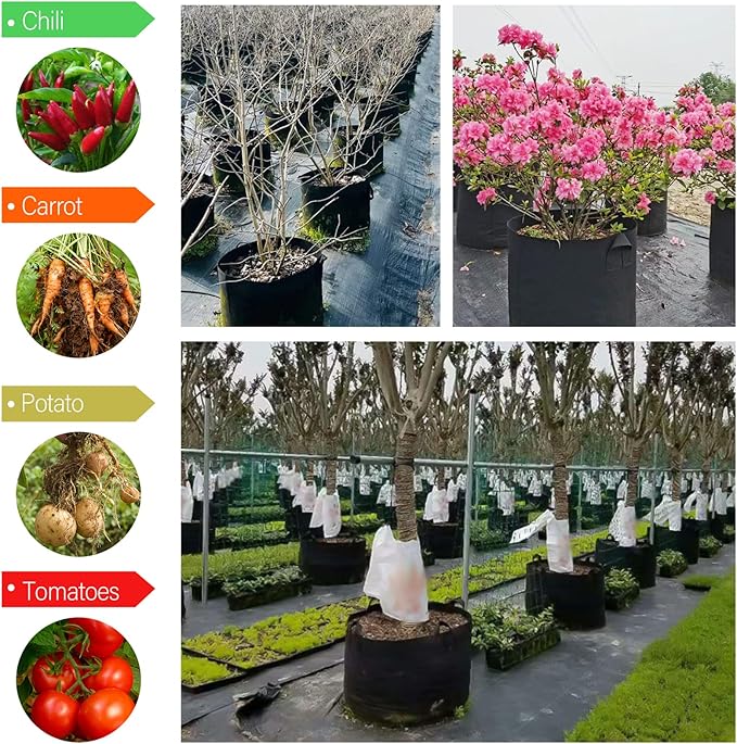 12 Pack Grow Bags 3 Gallon, 300G Heavy Duty Thickened Non-Woven Plant Bag Plant Fabric Pots with Handles Planting Bags, Pot for Plants, Black