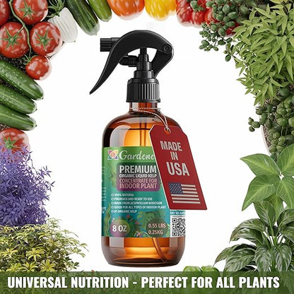 GARDENERA Professional Organic Liquid Kelp Spray for Fiddle Leaf FIG Plants - 8 oz - Ready-to-Use Fully Organic Seaweed & Kelp Fertilizer Mist