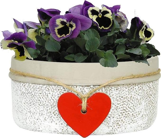 Classic Home and Garden 280000P-396 Heart Bowl Planter, Whitewash
