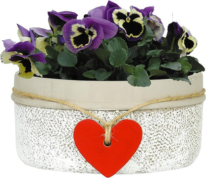 Classic Home and Garden 280000P-396 Heart Bowl Planter, Whitewash