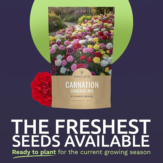 Carnation Chabaud Mix – Large 1 Ounce Seed Packet – 16,000 Flower Seeds for Planting – Dianthus caryophyllus