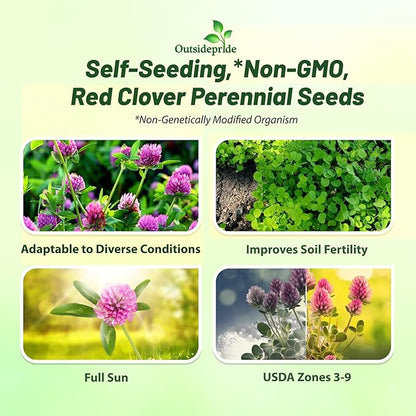Outsidepride Perennial Red Clover Seeds - 40 lbs. Self-Seeding, Nitrocoated, Inoculated Clover Seeds for Lawn, Yard, Forage, Pasture, Hay, Nitrogen Fixation, Soil Improvement & Crop Rotation Programs
