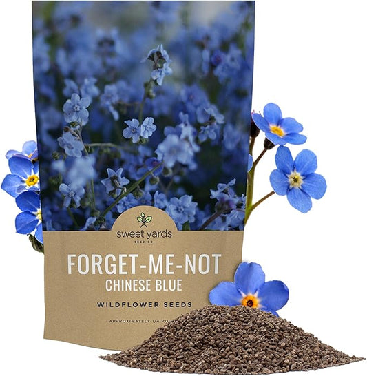 Chinese Forget Me Not Wildflower Seeds - Bulk 1/4 Pound Bag - Over 22,000 Open Pollinated Seeds - Blue Cynoglossum amabile